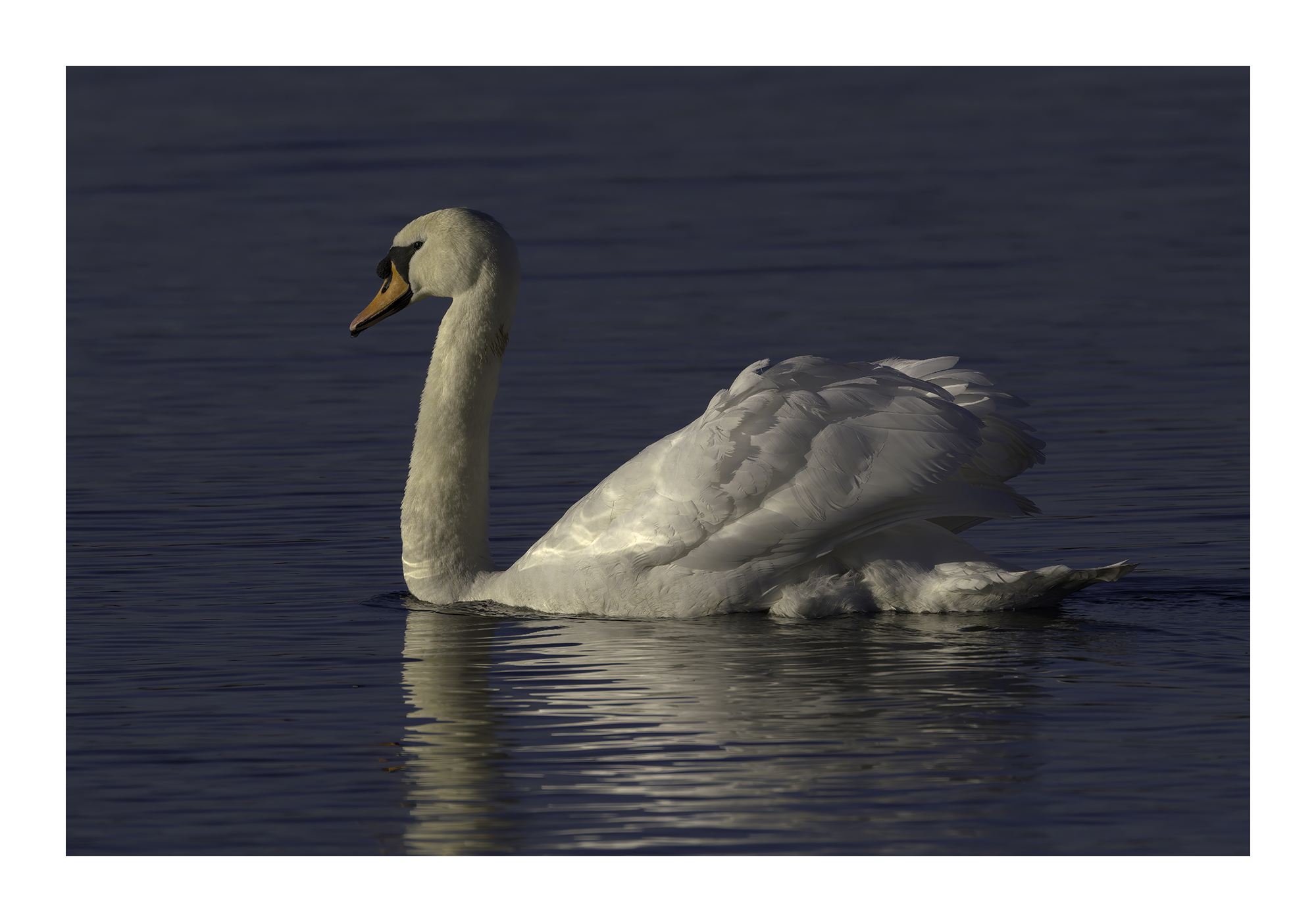 DSCF0756-croppedg.jpg